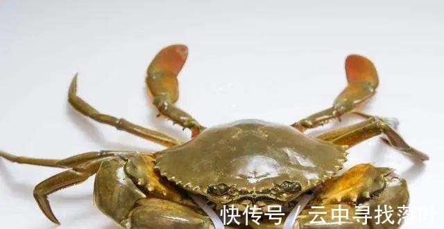 瘦肉|螃蟹千万别蒸!这样吃能防脱发!