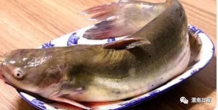 维生素c|十大健康食品已公布，大蒜只排第九位~