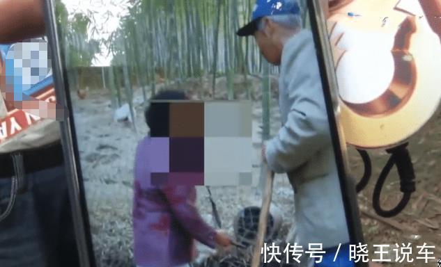 赚钱|眼红养殖场很赚钱,房东要涨7倍房租,被拒后放走1500只鸡
