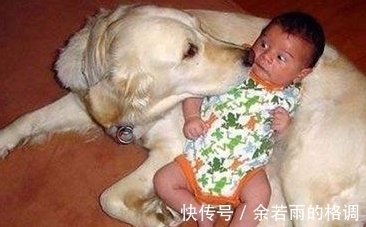 搞笑|搞笑宝宝系列:终于找到一个舒服的窝,就让宝宝睡到天荒地老吧