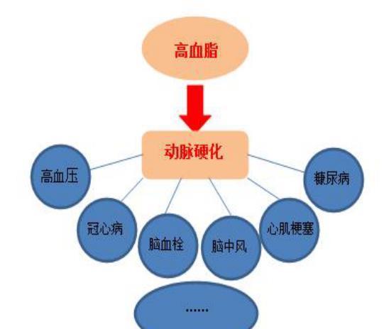 血管|高血脂“克星”公开,避免做这几件事,血管干净通畅