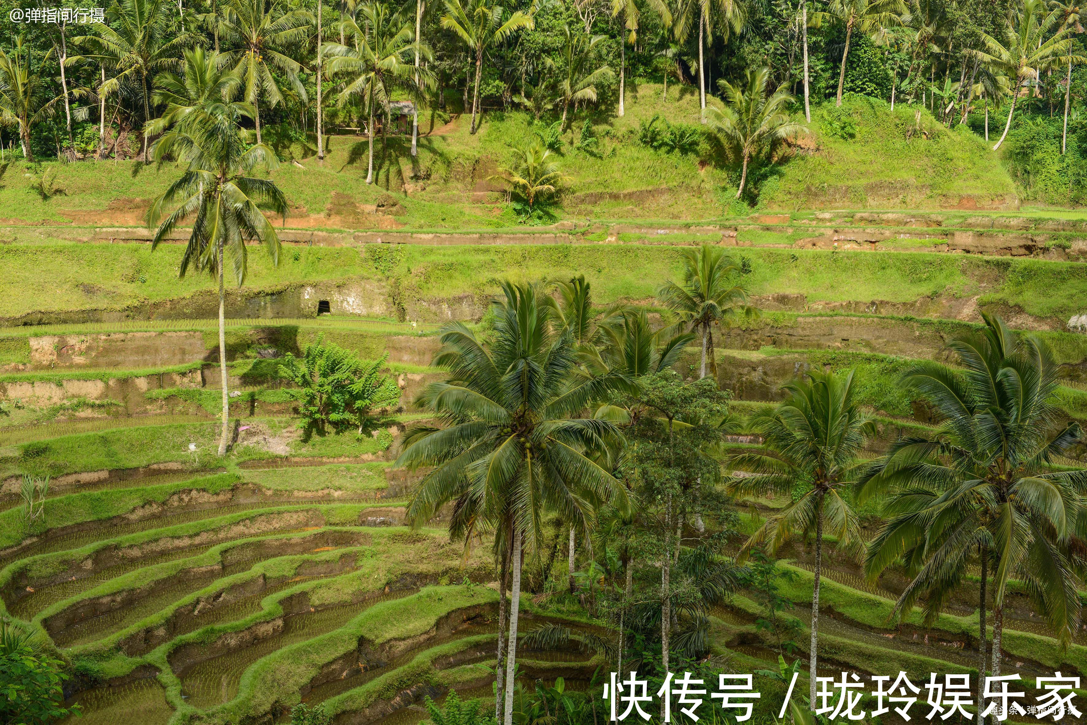 告急|巴厘岛农田告急，当地举办“稻草人节”捍卫耕地，反成旅游增长点