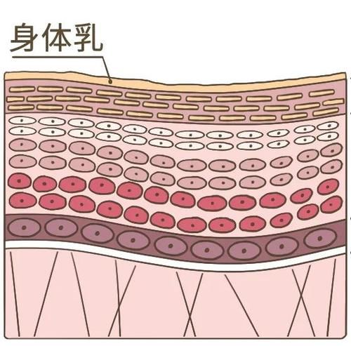 洗澡要不要搓泥？多久洗一次澡？一文读懂洗澡的真相