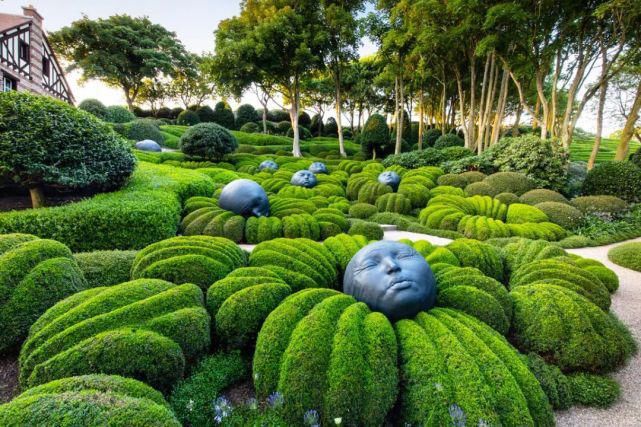 植物“整形”，花样百出