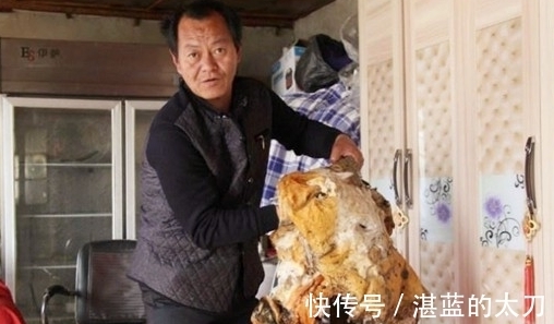 长生不老$全国接连发现的“太岁”,到底是啥?专家:它违背了自然规律