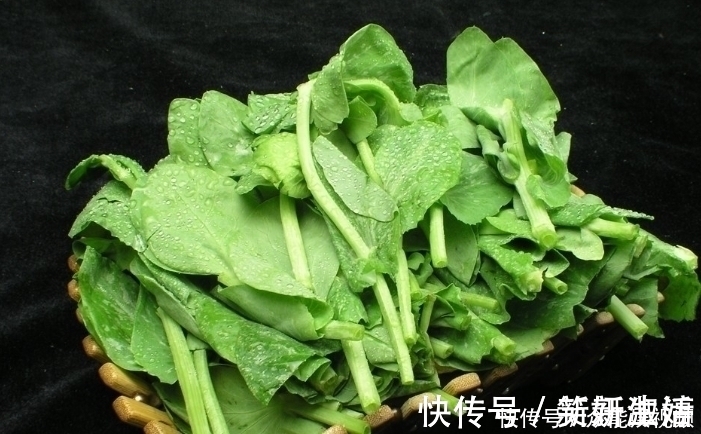 眼睛|“年轻守护神”的一种蔬菜,有防老化作用,对眼睛很好的保护效果