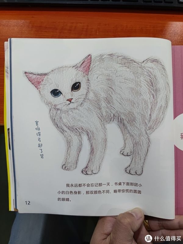 馆员@图书馆猿の2021读书计划68：《无法抵挡一只猫》