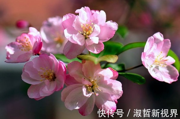 老婆|谁家老婆生日在农历这5天,三生有幸,你把财神带回家了!