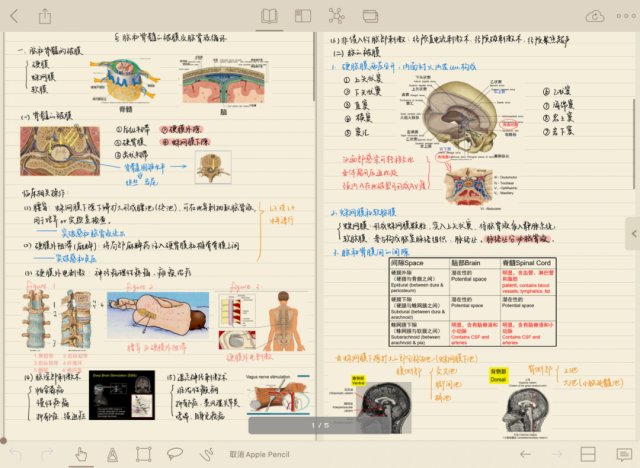 美术学院！笔记届的“神仙打架”！网友：行，我直接换双手吧