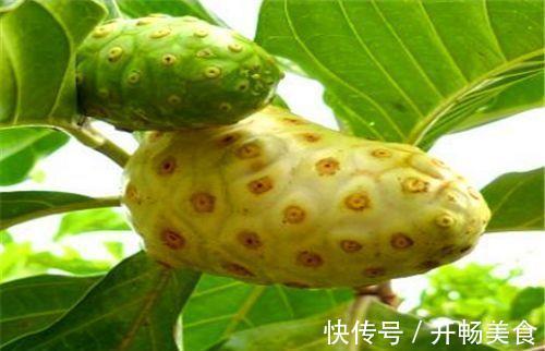 陳醫師|人到中年想要身體好，常吃3種食物，降壓減脂，抗衰老，養護血管