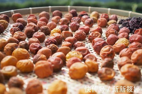 手指肚|首届国医大师陆广莘:“另有一套”的健康10法!值得所有人复制!