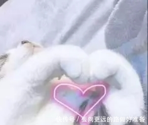 孕妇界公认好用的控油洗发水！用后头发柔顺，掉发头皮屑也少了！