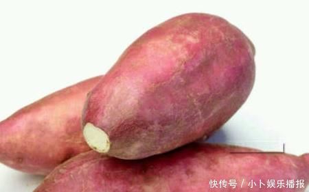 这3样“食物”发芽后,也能放心吃,别再傻傻扔掉了
