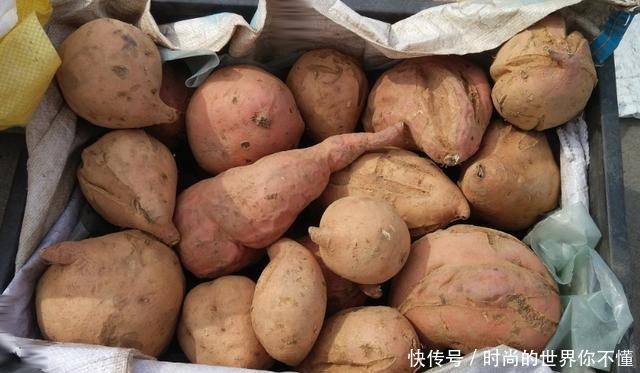 黄心|都是红薯,红心、黄心、白心哪种好老农区别很大,别随便吃了