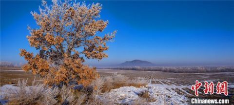  郭柏林|五大连池迎今冬首雪 如水墨仙境