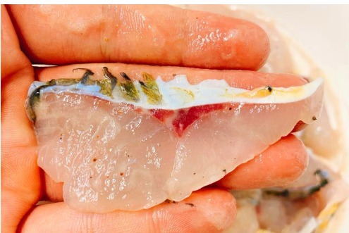 一妙|做酸菜鱼时,直接煮鱼片就废了!厨师长教您一妙招,鱼片不碎不散