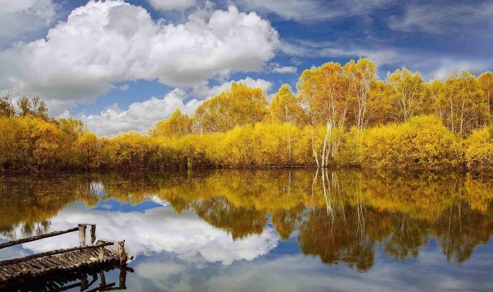 诗词|【诗词鉴赏】古诗词里听秋声,声声入耳,句句在心!