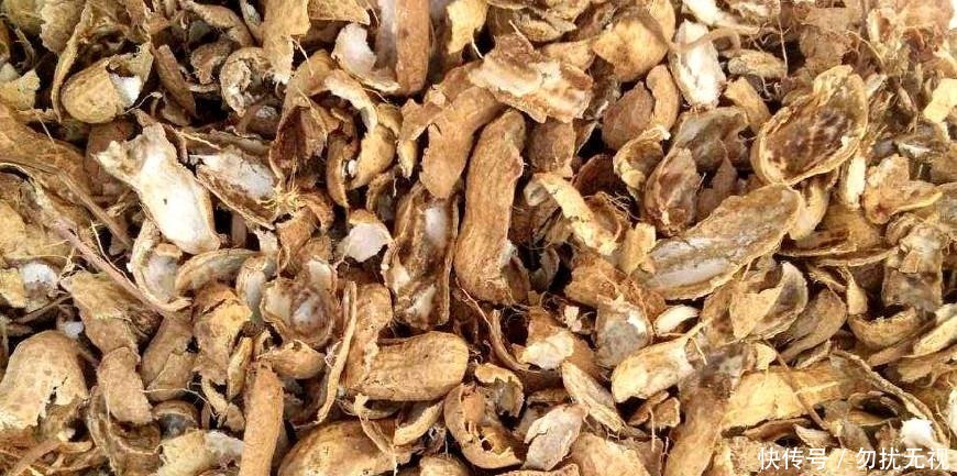 花盆|路边捡一把扔到花盆里，土壤肥的流油，根壮不腐烂，3年不用换土！