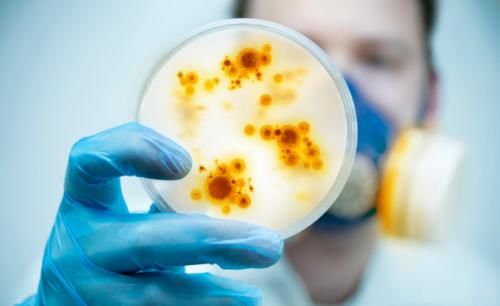 甲肝|这6种传染病,可通过粪口传播,特别是最后2个,宝妈们要格外注意