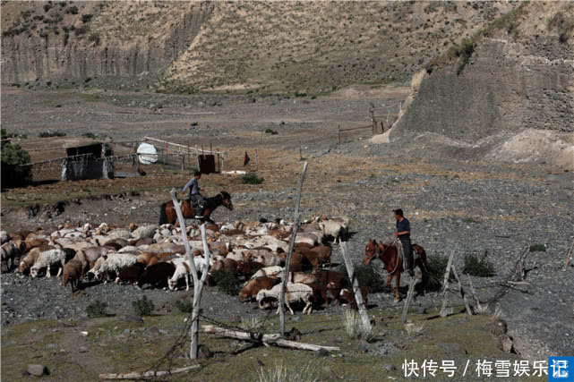 天山脚下哈萨克牧民，养二百只羊年收入十二万，日子过的很红火