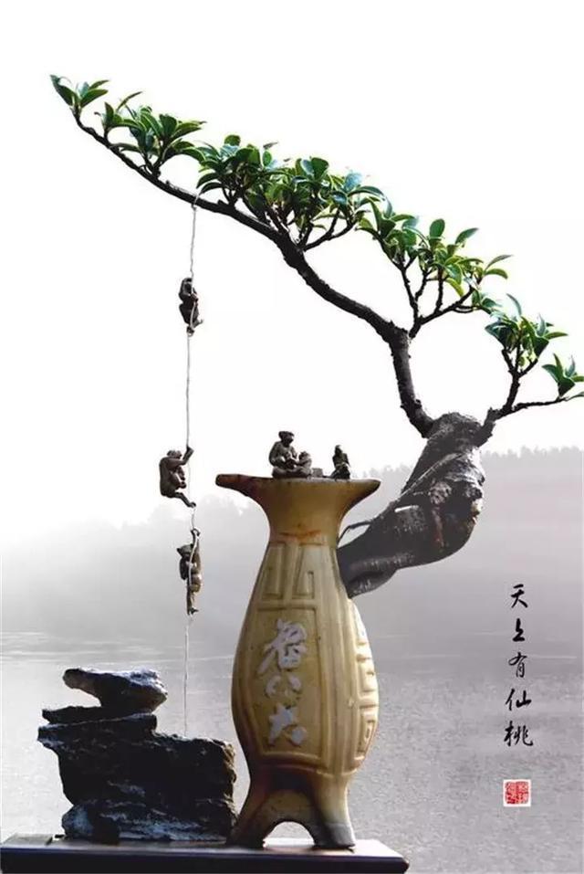 花友|旧茶壶种点花,秒变高端盆景,卖300一个邻居抢着要