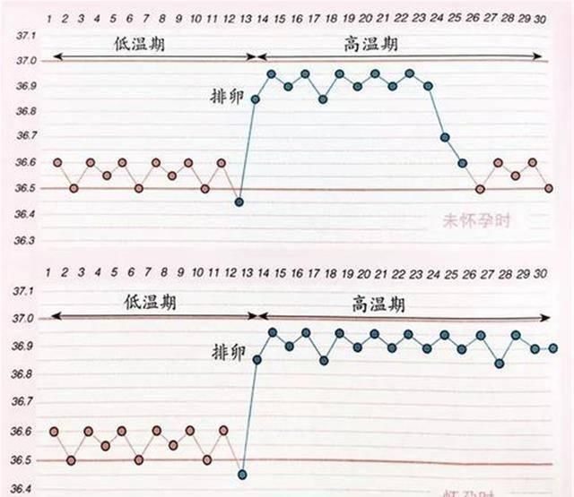 b超|怀孕从末次月经的第一天开始算，三种计算方式，让预产期更准确