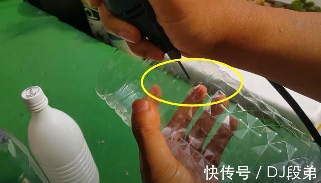 瓶口|攒了1个月的塑料瓶,瓶口朝下一个扣一个,用来扦插多肉,生根快