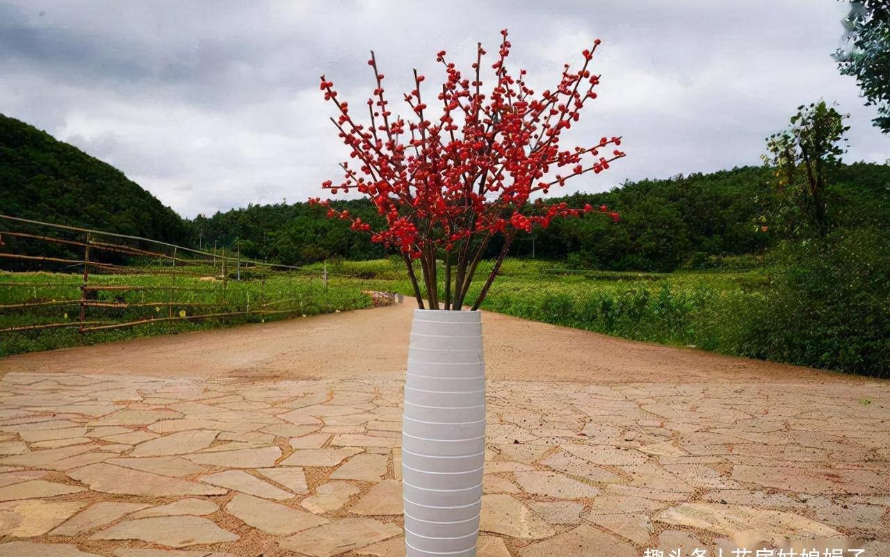 这6种花都是春节“必买”的花,给它们做个比较,就知道选哪种了