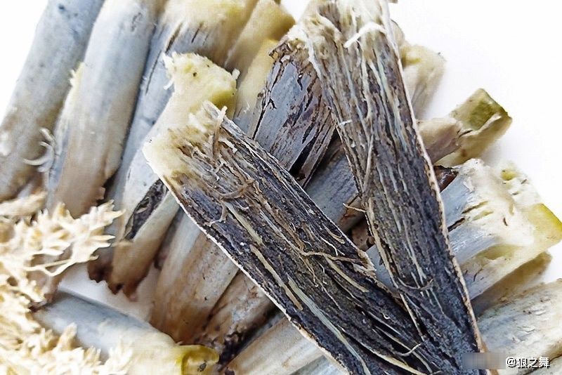 高粱上|这东西,农民痛恨不已,殊不知是“天然黑松露”,50元一斤