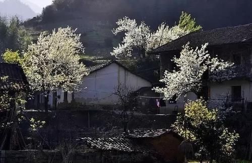 文化|江西玉山最美10大古村落，三清山畔秀美山水间古韵留芳