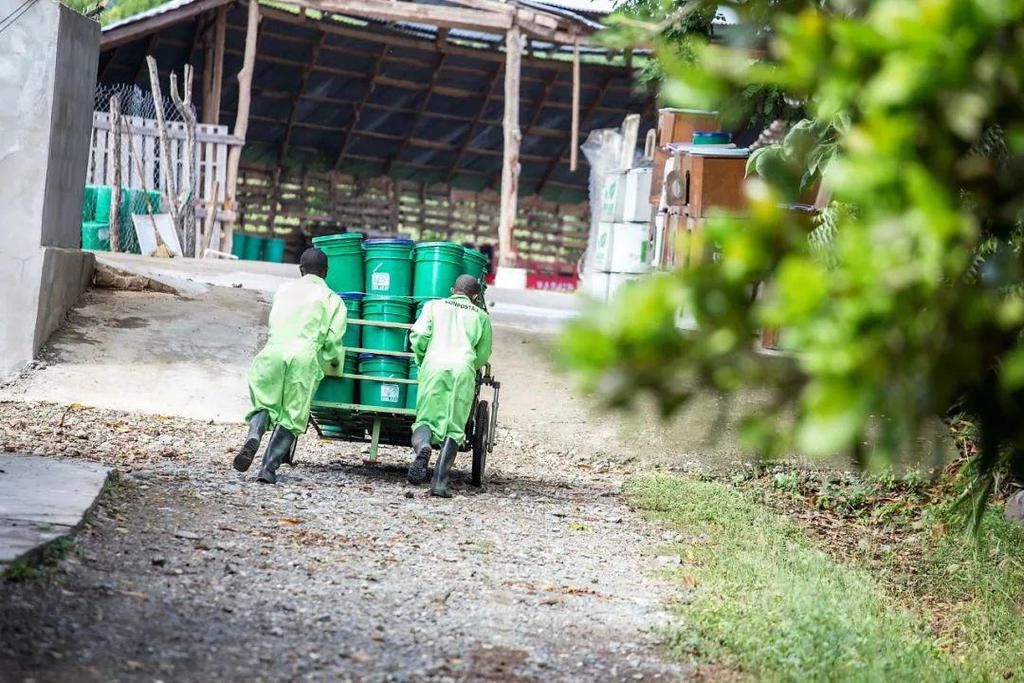  配色方案|为什么欧洲的麦当劳颜色是绿色的？