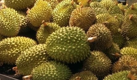 食物|假设给予你10万,前提是10分钟内吃完以下一种食物,选一的是汉子