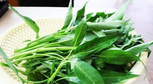 纤维素|想长寿要先养肝,3种食物离不开,排毒养颜,早吃早健康!