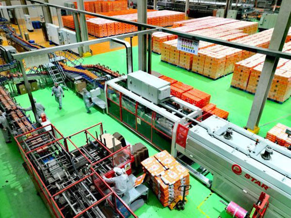 郑蒲港新区：企业采用国内领先生产线，产销国内外