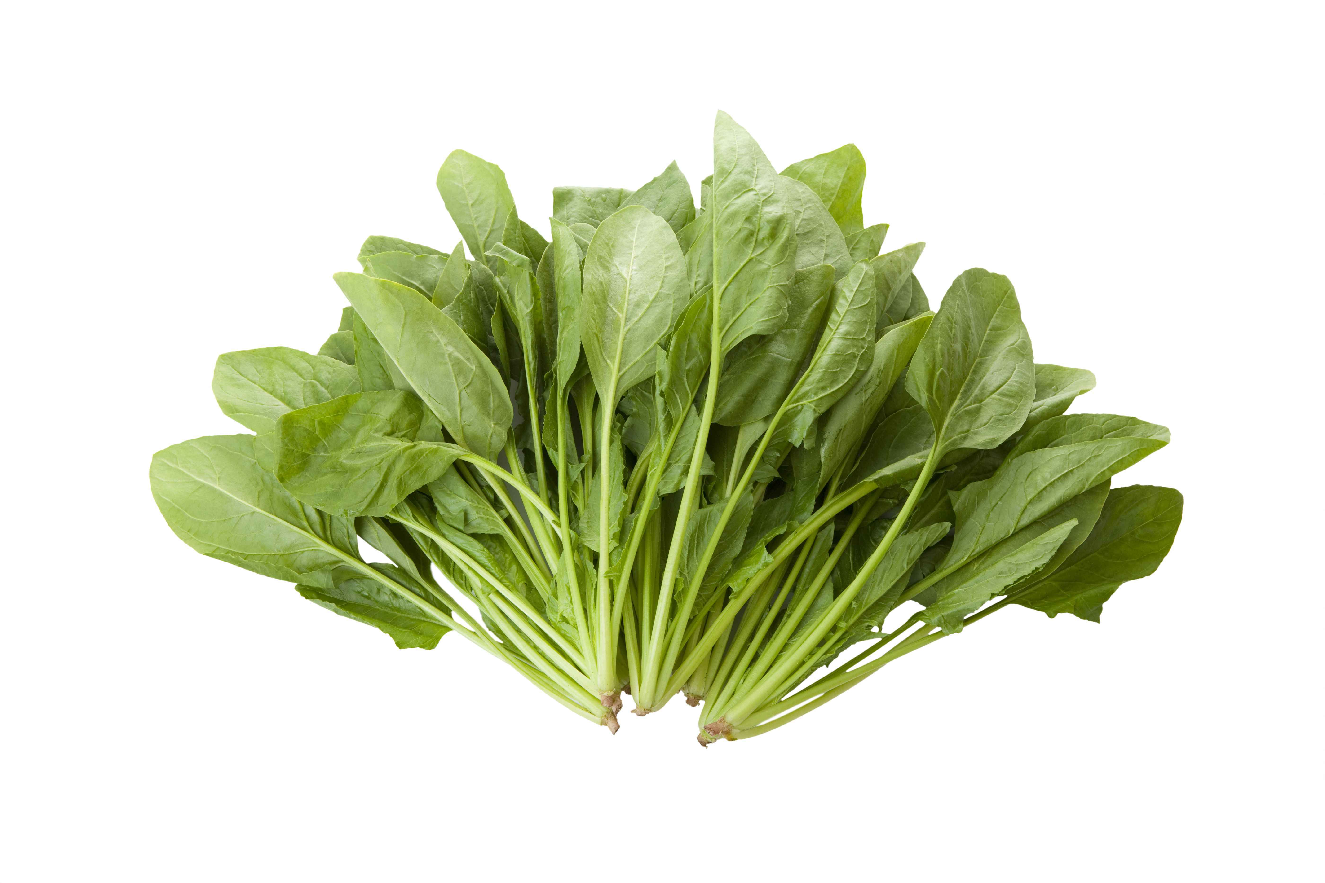 枸杞雪梨|肝火旺的人,容易发脾气!这5个食疗方法,或能帮你降肝火