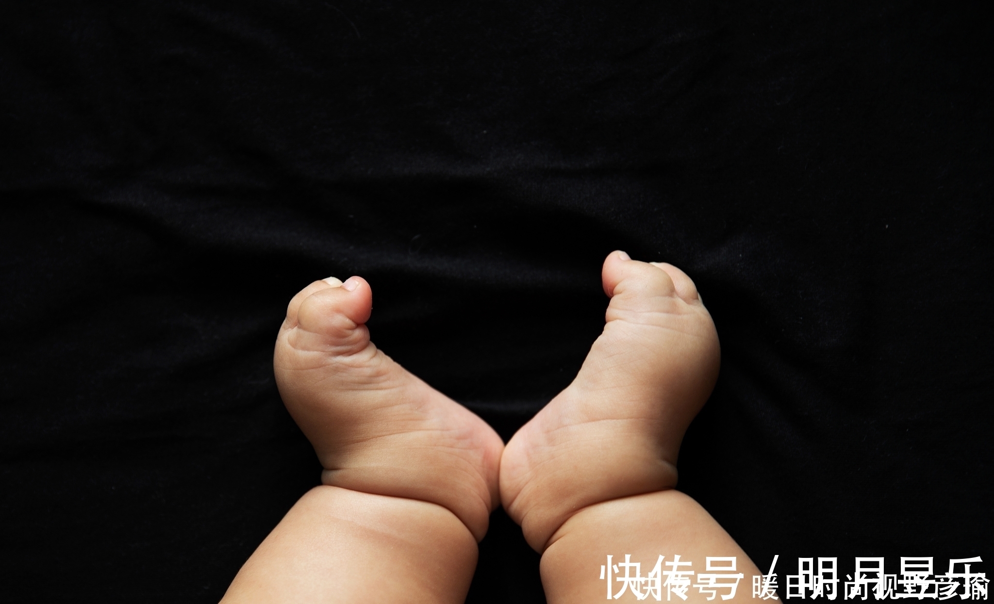广谱性|大师实战爆护的饵料配方,网红亲测好用的钓鱼小药,都可信吗?