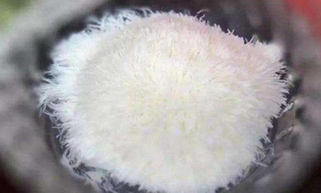 才艺|米其林大厨用芒果雕花,中国大厨不服气上才艺把我的龙端出来