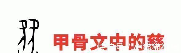 恩格尔系数&出自于老子《道德经》的“不敢为天下先”,究竟是什么意思呢?