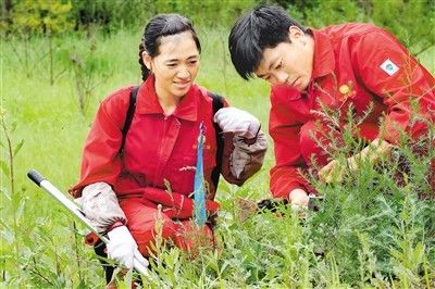 中国石油|黄土高原有支“绿色勘探队”