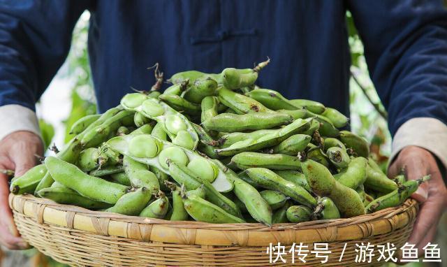 蚕豆|在生活中需要尽量少吃的五种蔬菜,知道原因后你就会明白了