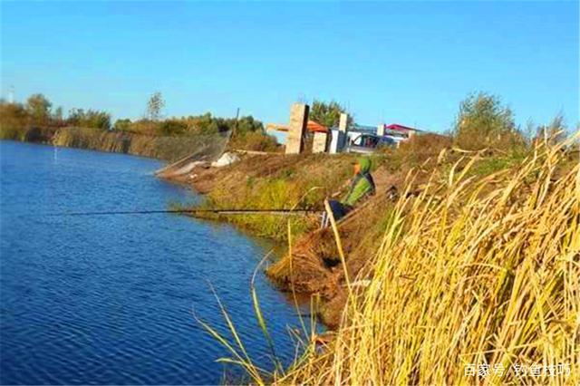 冬季钓鲫鱼,这种天气容易“爆护”而且常见,不少钓友反而忽视了