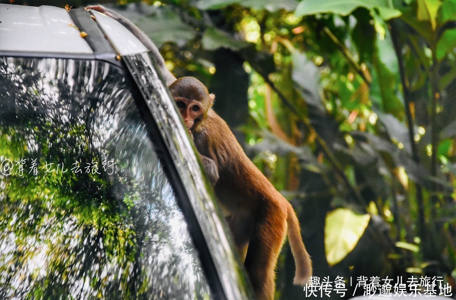 黎族|忘掉三亚海口！探索你不知道的海南，中线自驾游还能这么玩