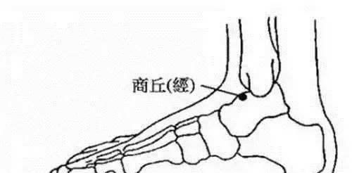  人体|脾，后天之本！老中医带你品味人体脾经大药！补脾通络，胜吃补药