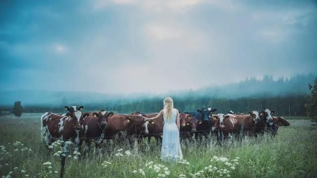 斯堪的纳维亚|拥有全新沃尔沃S90，体验北欧幸福的生活方式