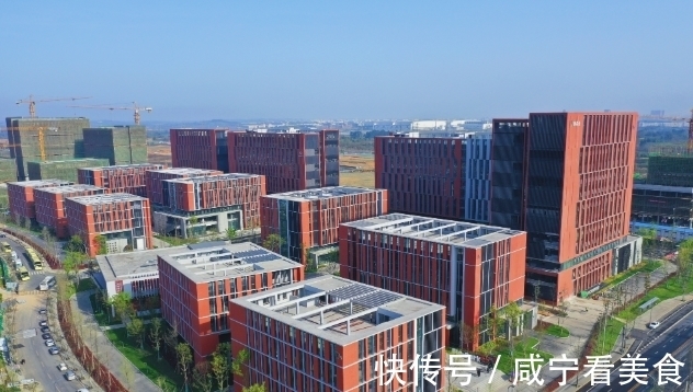 项目|成都首个工业项目“标准地”出让 天府国际生物城推行项目建设全周期服务