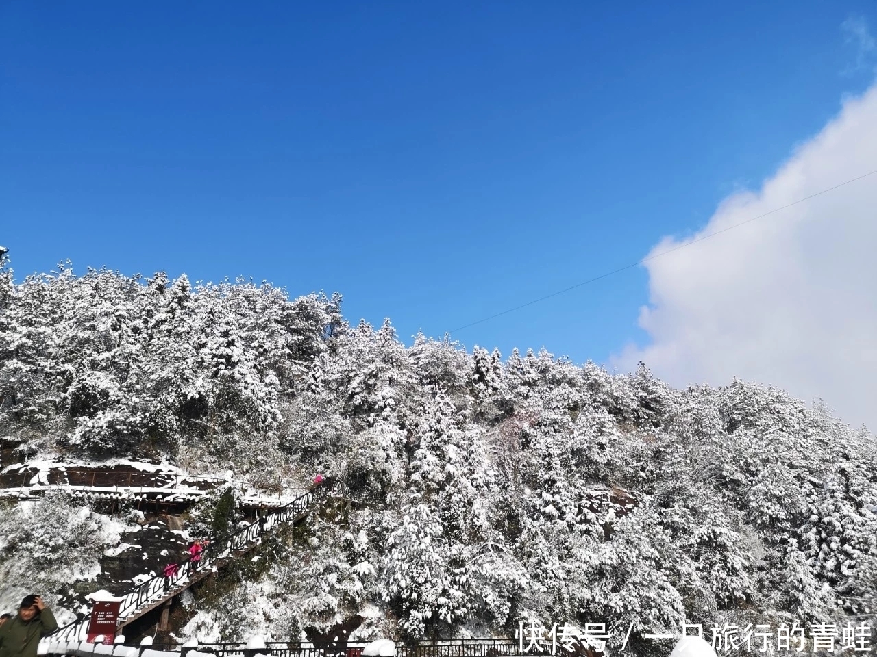 大雪|突然的一场大雪，让平江石牛寨白雪皑皑