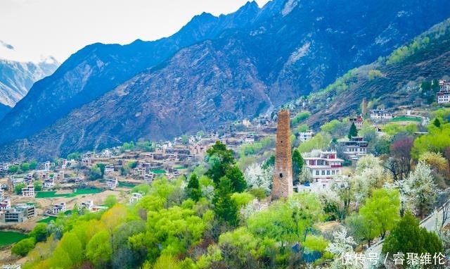 这里比甲居藏寨隐蔽，百年梨花开满山，仿若世外桃源