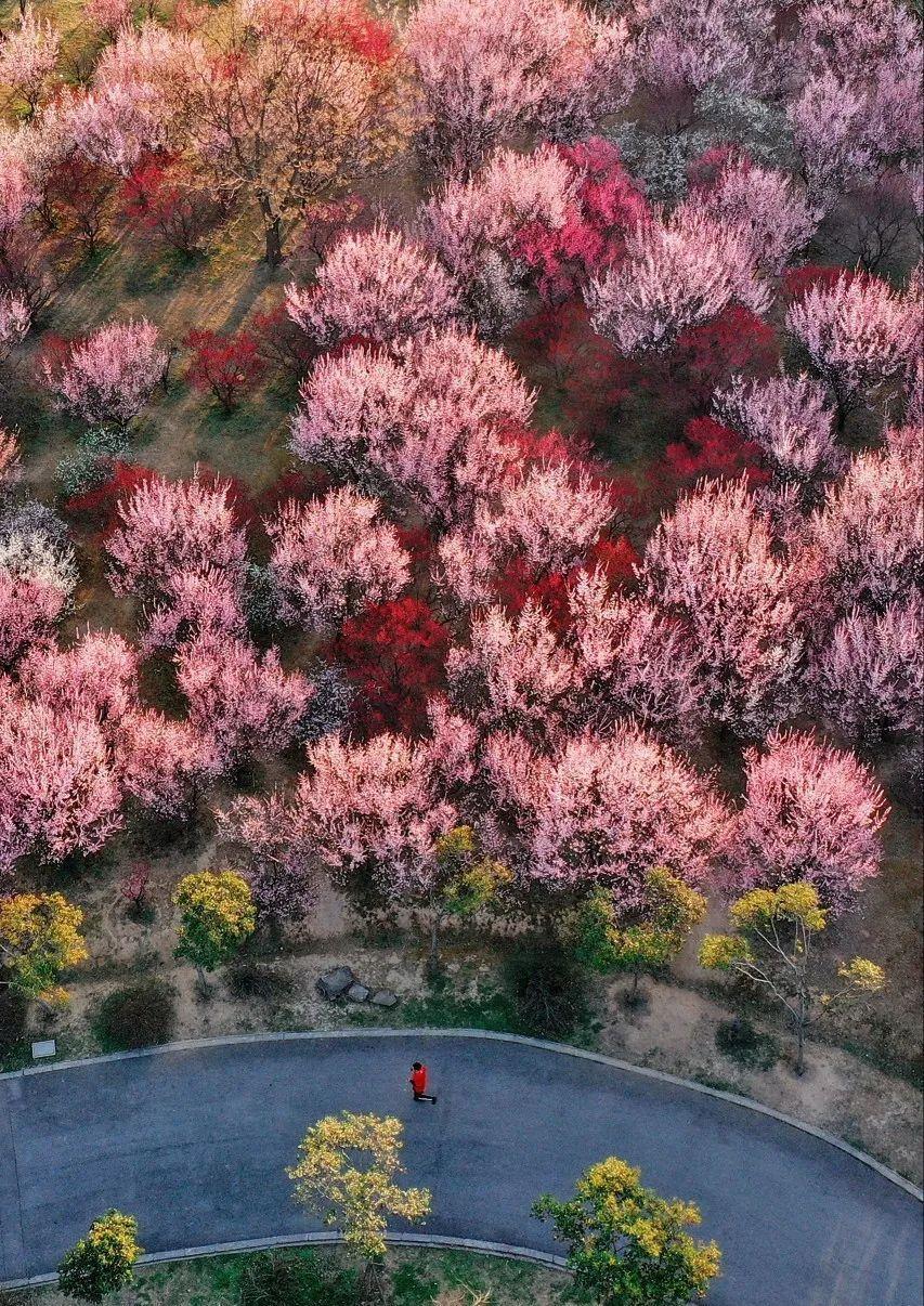 旅行地|5个小众却绝美的旅行地，等到疫情过去一一去实现！