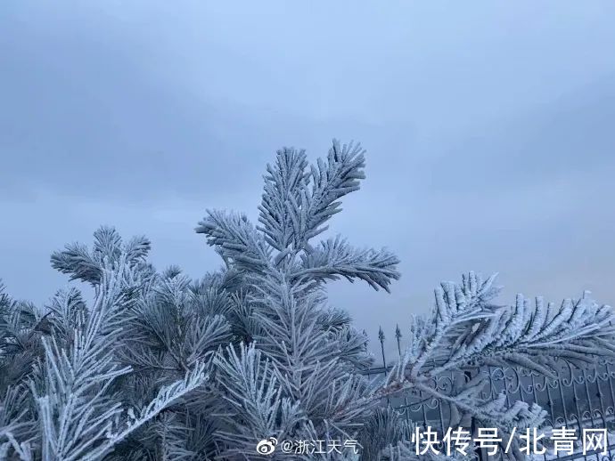 临安|浙江多地下雪！一地积雪厚度达3公分……