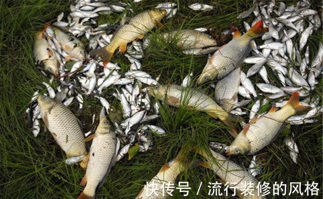 招数|过了立秋鱼应该这样钓了,把秋季分几个阶段,不同阶段用不同招数